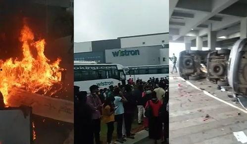 雪莲加工厂爆料视频,揭秘神秘药材的加工过程 第1张 雪莲加工厂爆料视频,揭秘神秘药材的加工过程 第1张